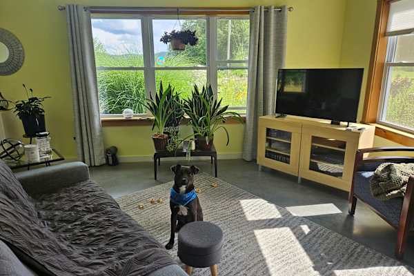 House sit in South Royalton, VT, US