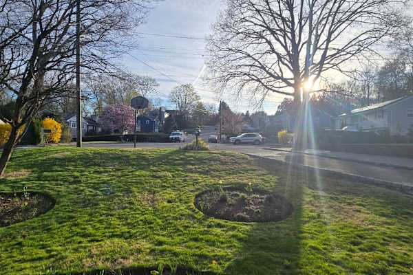 House sit in Stamford, CT, US