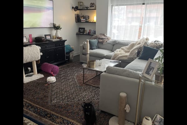 House sit in Chicago, IL, US