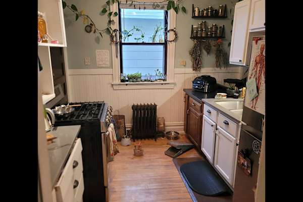 House sit in Minneapolis, MN, US