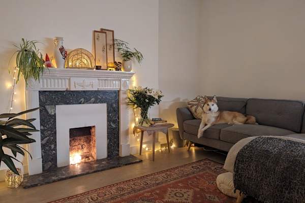 House sit in London, United Kingdom