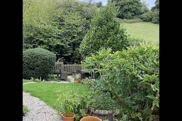 House sit in Totnes, United Kingdom