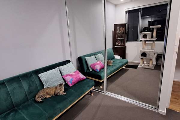 House sit in Brisbane, QLD, Australia