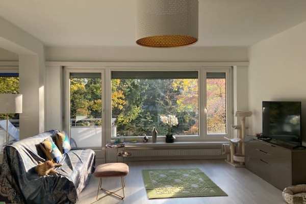 House sit in Zürich, Switzerland