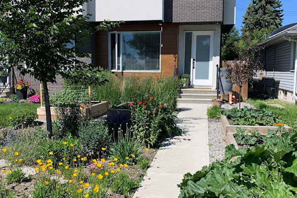 House sit in Calgary, AB, Canada