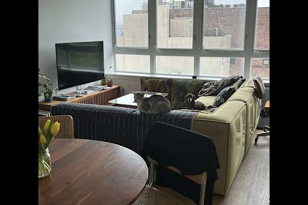 House sit in Brooklyn, NY, US