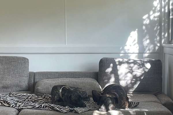 House sit in Narrandera, NSW, Australia
