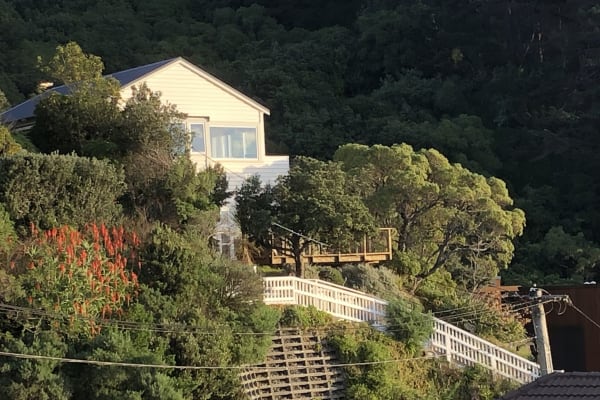 House sit in Wellington, New Zealand