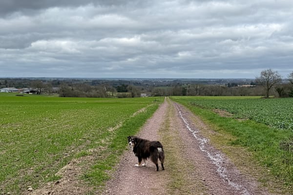 House sit in Josselin, France