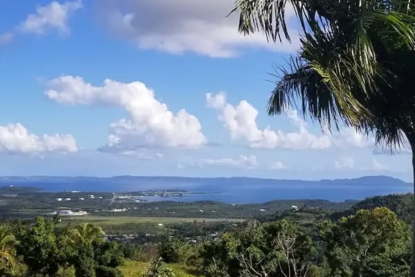 House sit in Ceiba, Puerto Rico