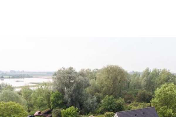 House sit in Zevenaar, Netherlands