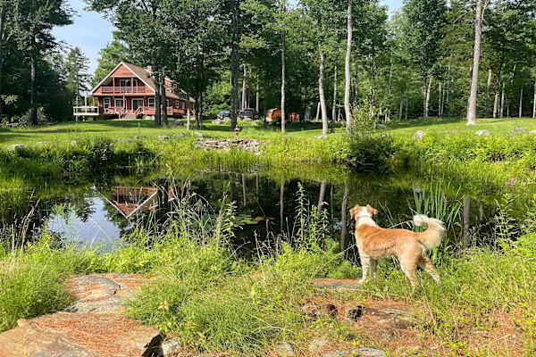 House sit in Searsmont, ME, US