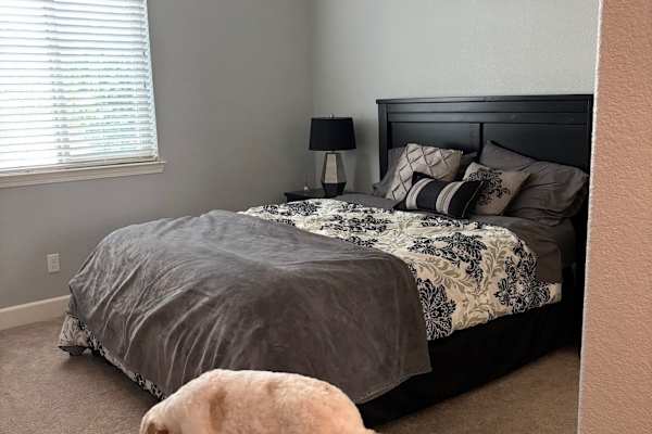 House sit in Roseville, CA, US