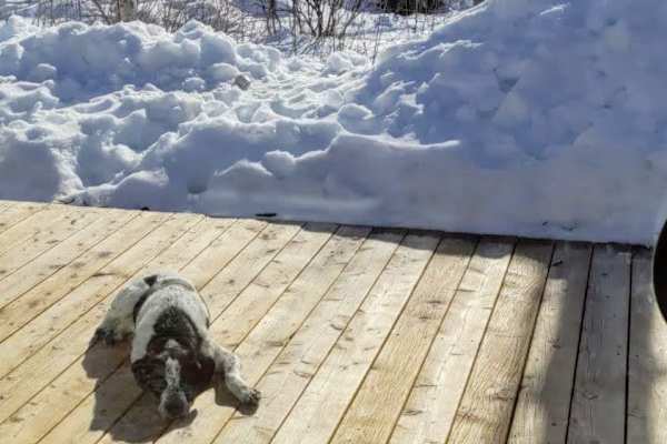 House sit in Twisp, WA, US