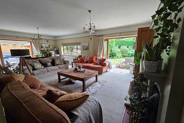 House sit in Woking, United Kingdom