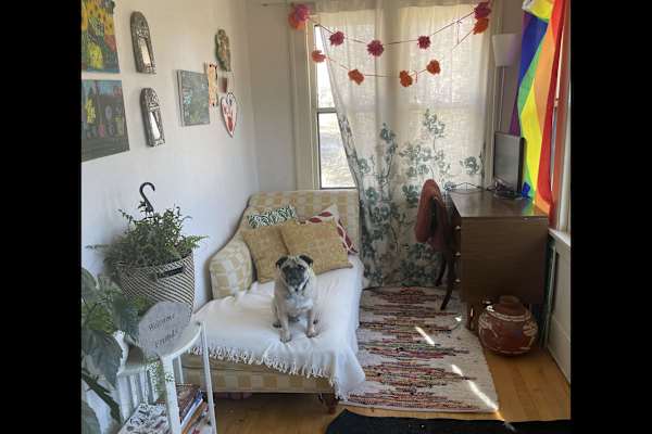 House sit in Minneapolis, MN, US