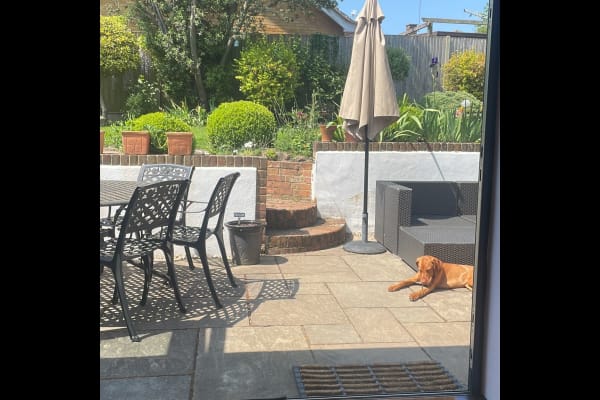 House sit in Bearsted, United Kingdom