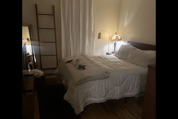 House sit in Brooklyn, NY, US
