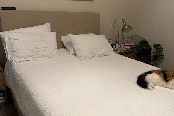 House sit in Dallas, TX, US