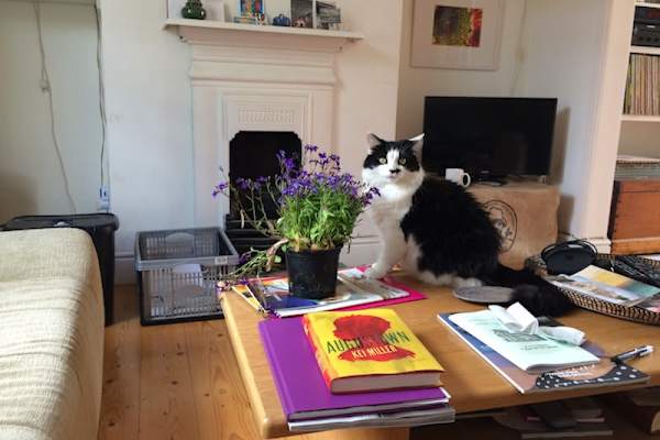 House sit in London, United Kingdom