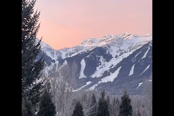 House sit in Fernie, BC, Canada