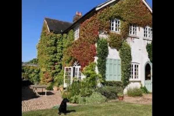 House sit in Tring, United Kingdom