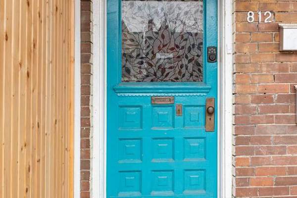 House sit in Toronto, ON, Canada