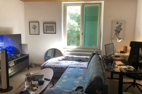 House sit in Freiburg, Germany