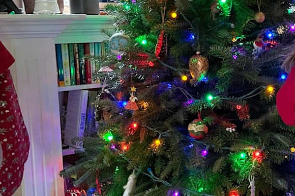 House sit in Eugene, OR, US