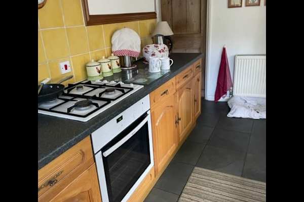 House sit in Lincoln, United Kingdom