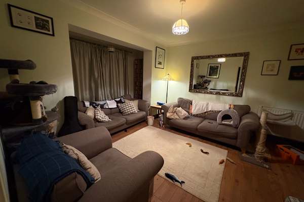 House sit in London, United Kingdom