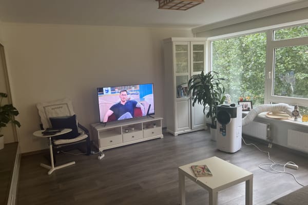 House sit in Rotterdam, Netherlands