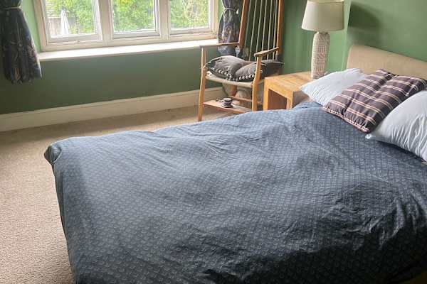 House sit in Newcastle Emlyn, United Kingdom