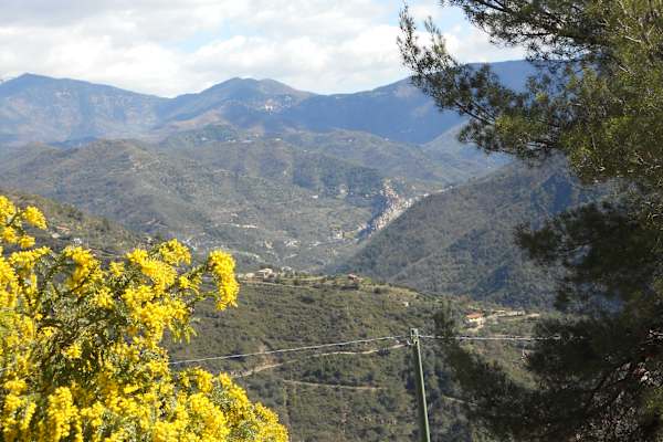 House sit in Dolceacqua, Italy