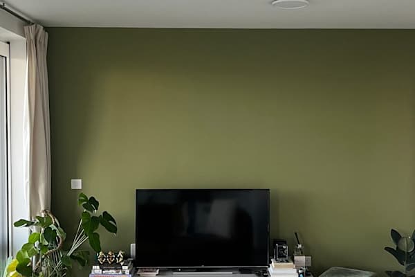 House sit in London, United Kingdom