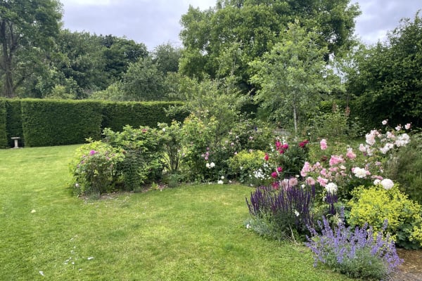 House sit in Clanfield, United Kingdom