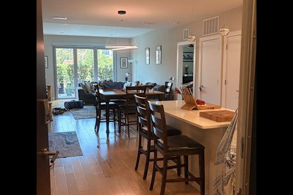 House sit in Durham, NC, US