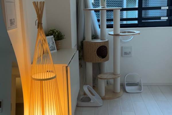 House sit in Tokyo, Japan