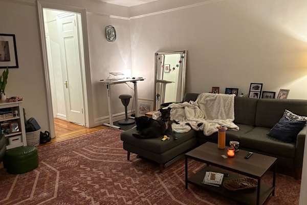 House sit in New York City, NY, US