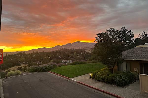 House sit in Walnut Creek, CA, US