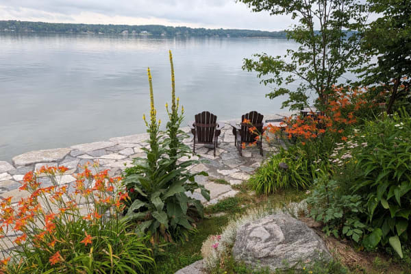 House sit in Kingston, ON, Canada