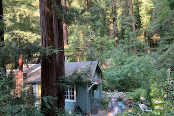 House sit in Felton, CA, US