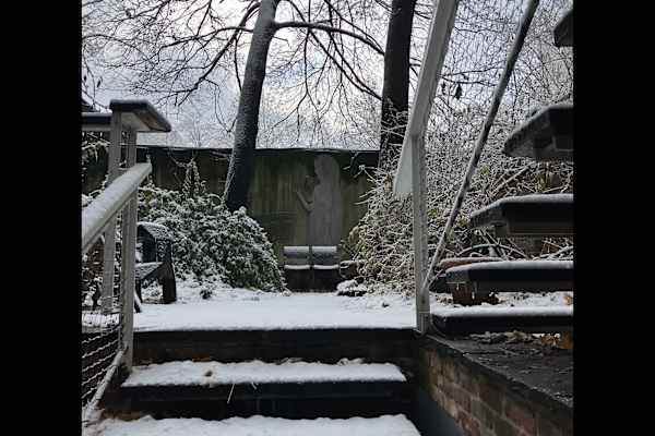 House sit in Manhattan, NY, US