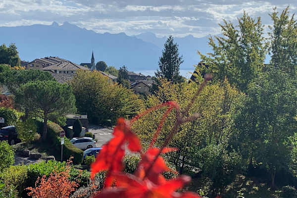 House sit in Chexbres, Switzerland