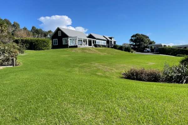 House sit in Waipu, New Zealand