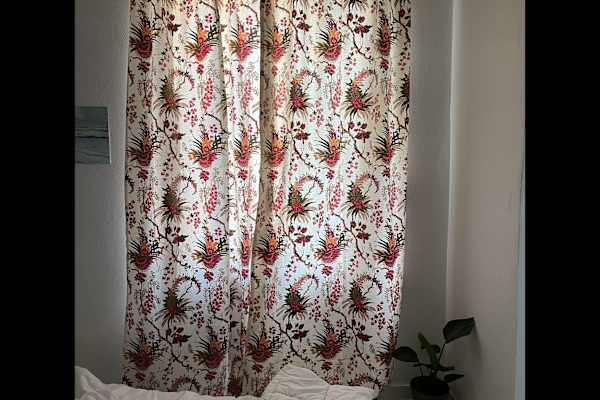 House sit in Nantes, France