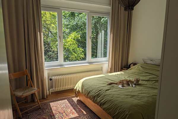 House sit in Brussels, Belgium