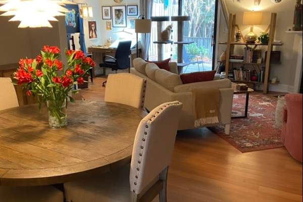 House sit in Chapel Hill, NC, US