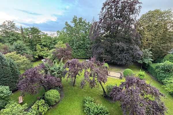 House sit in Hamburg, Germany