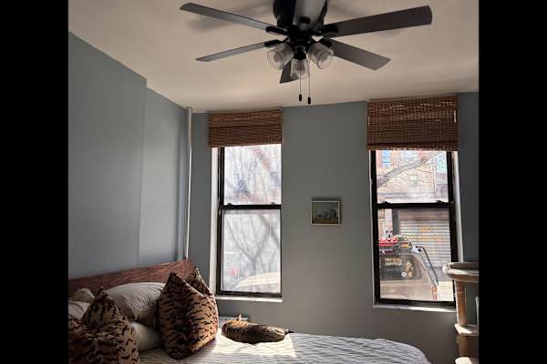 House sit in Brooklyn, NY, US